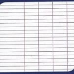 CAHIER 24X32 SEYES ( GRANDS CARREAUX )