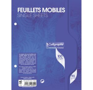 FEUILLES MOBILES 17X22 SEYES