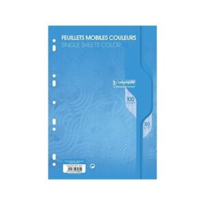 CALLIGRAPHE FEUILLES MOBILES A4 SEYES BLEU