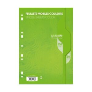 CALLIGRAPHE FEUILLES MOBILES A4 SEYES VERT