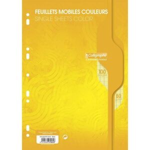 CALLIGRAPHE FEUILLES MOBILES A4 SEYES JAUNE