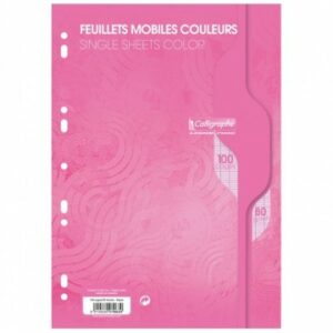 CALLIGRAPHE FEUILLES MOBILES A4 SEYES ROSE