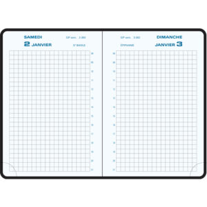 EXACOMPTA AGENDA 2025 JOURNAL 13 QUADRILLE