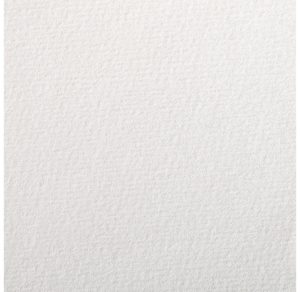 PAPIER C A GRAIN 50X65 180G