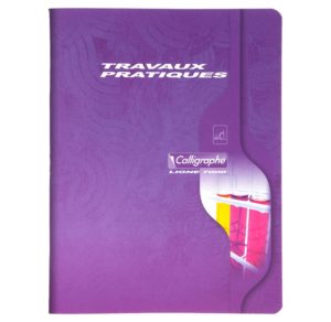 TRAVAUX PRATIQUES 17X22 96P