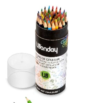 POT 48 CRAYONS COULEURS