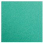 CLAIREFONTAINE MAYA PAPIER VERT MOUSSE 50X70 120G