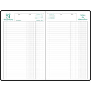 EXACOMPTA AGENDA 2026 CAISSE RAISIN BIENTOT DISPONIBLE