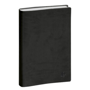 EXACOMPTA AGENDA 2026 JOURNAL PLANIFIE 21 BIENTOT DISPONIBLE – Image 3