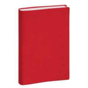 EXACOMPTA AGENDA 2026 JOURNAL PLANIFIE 21 BIENTOT DISPONIBLE – Image 4