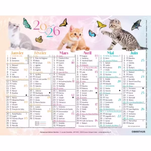 OBERTHUR CALENDRIER 2026 FANTAISIE 17X14