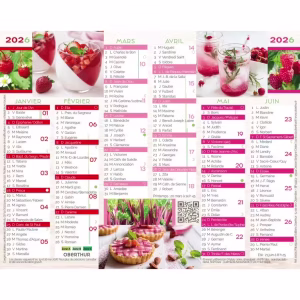 OBERTHUR CALENDRIER 2026 FANTAISIE 17X14 – Image 3