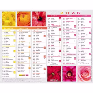 OBERTHUR CALENDRIER 2026 FANTAISIE 17X14 – Image 4