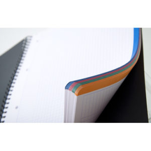 RHODIA 4 COLORS BOOK RELIURE INTEGRALE A4+ - Image 2