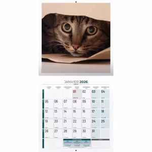 BOUCHUT CALENDRIER 2026 GM MON CHAT – Image 2