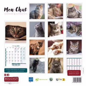 BOUCHUT CALENDRIER 2026 GM MON CHAT – Image 3