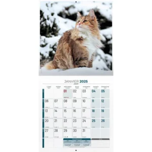 BOUCHUT CALENDRIER 2025 PM MON CHAT - Image 2