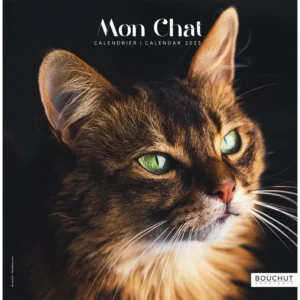 BOUCHUT CALENDRIER 2025 PM MON CHAT