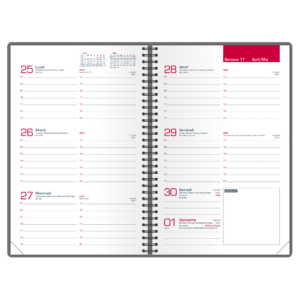 OXFORD AGENDA 2026 MY FAB VIOLET 10X15 – Image 2