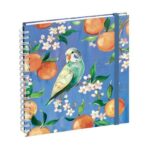 EXACOMPTA AGENDA 2026 SOPHIE ADDE 18S ORANGE BIENTOT DISPONIBLE