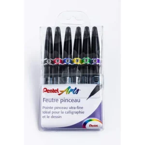 PENTEL FEUTRES PINCEAUX BRUSH SIGN PEN SESF30C FUNNY