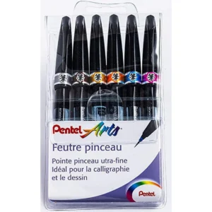 PENTEL FEUTRES PINCEAUX BRUSH SIGN PEN SESF30C ARTIST