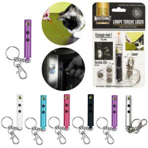 CMP PORTE CLES LAMPE TORCHE LASER – Image 2