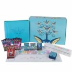 POKEMON BOX EXCLUSIVES EEVEELUTION 2.0  AQUALI CHINOIS EN ATTENTE
