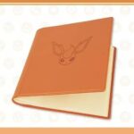 POKEMON PRO BINDER 12 CASES PYROLI EN ATTENTE DE RECEPTION