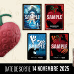 ONE PIECE FRUIT DU DEMON COLLECTION VOLUME 3 EN ATTENTE