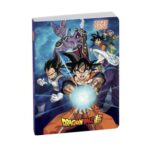 EXACOMPTA AGENDA 2025 2026 DRAGON BALL BLEU