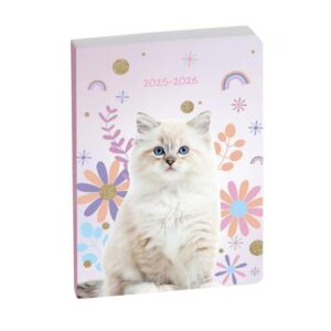 EXACOMPTA AGENDA 2025 2006 ANIMAUX CHAT