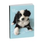 EXACOMPTA AGENDA 2025 2006 ANIMAUX CHIOT