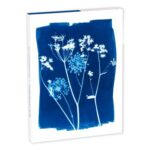 CLAIREFONTAINE SET CORRESPONDANCE CYANOTYPE