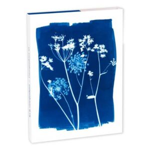 CLAIREFONTAINE SET CORRESPONDANCE CYANOTYPE