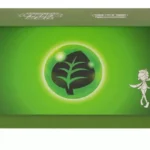 POKEMON ETB FEUILLE ENERGIE RADIEUSE CHINOIS