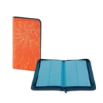 POKEMON PRO BINDER DRACAUFEU