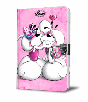 DIDDL JOURNAL SECRET